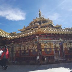 漂泊南京的台灣中醫師